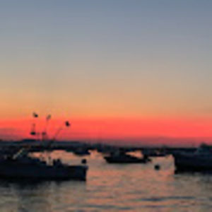 Meet your Posher, Tobin